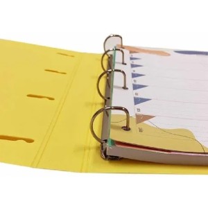 FICHÁRIO 96 FOLHAS E 5 DIV AMARELO A4 YES